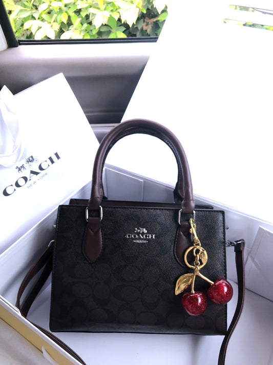 Choach Hand Bag